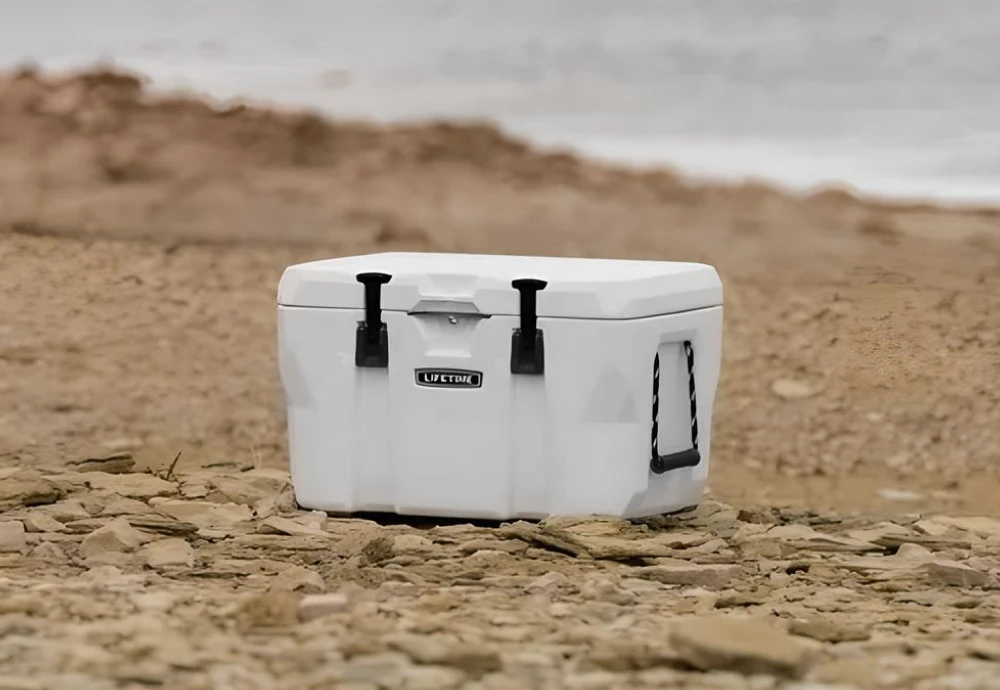 outdoor ice cooler box