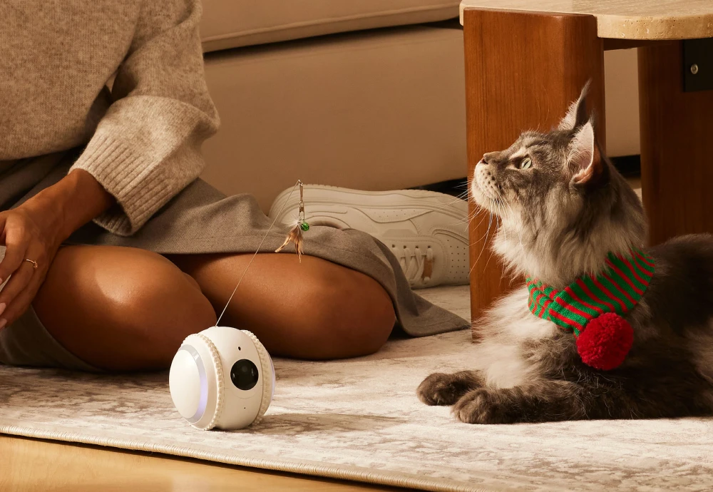 best in home pet camera