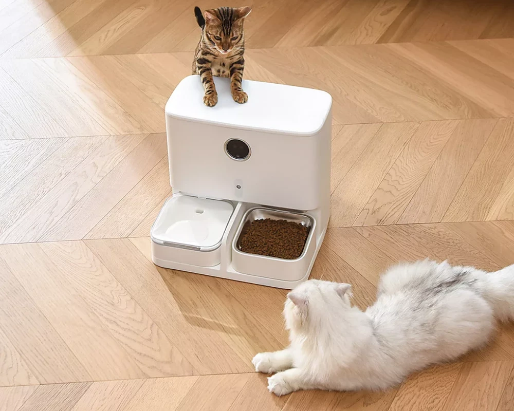 pet feeder with camera