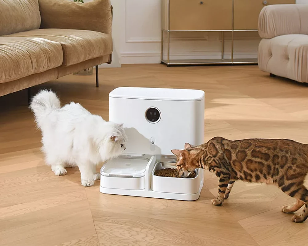 automatic wifi pet feeder